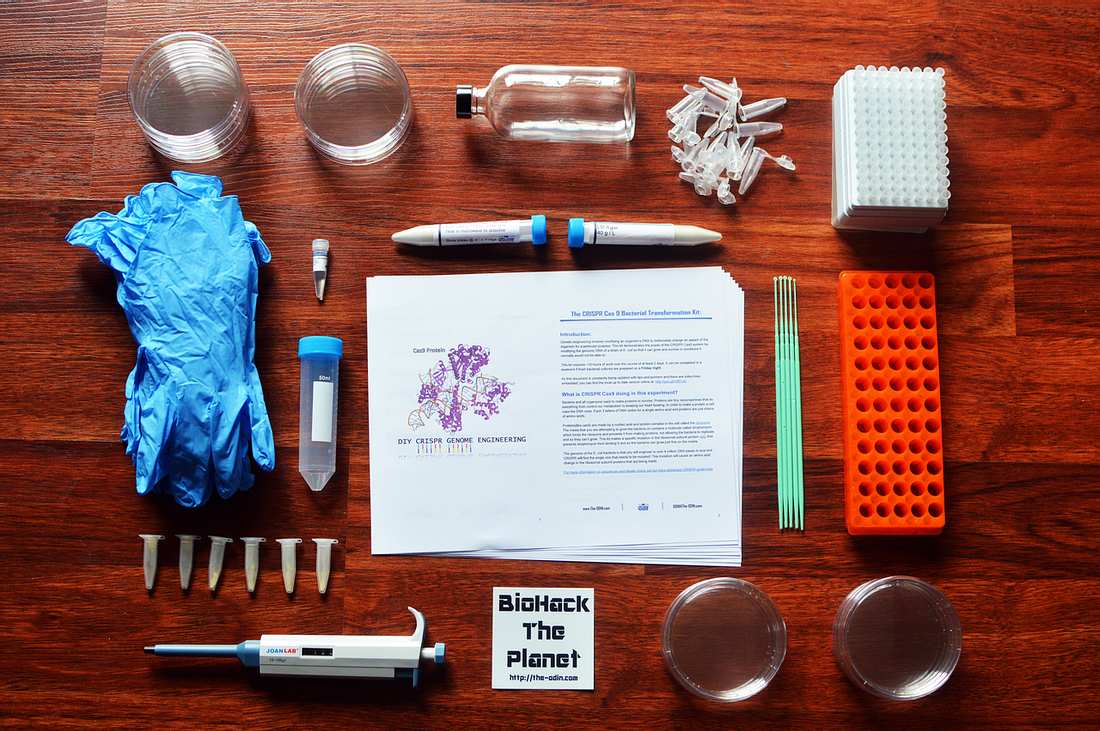 CRISPR Starter Kit CRISPR Starter Kit
