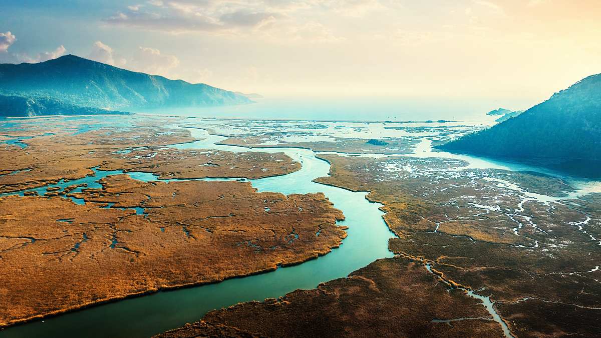 Dalyan-Delta