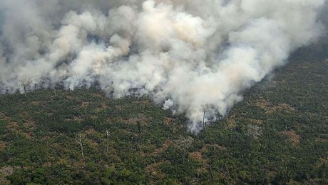 Der Amazonas brennt - Foto: Getty Images/CARL DE SOUZA