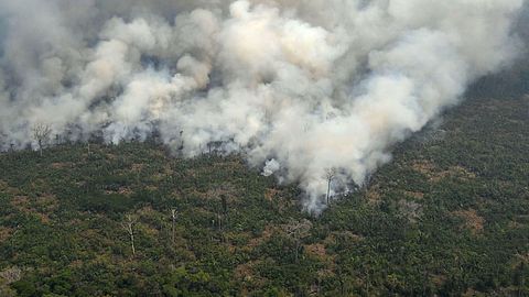 Der Amazonas brennt - Foto: Getty Images/CARL DE SOUZA