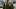 Die vier Hobbits in Der Herr der Ringe Die vier Hobbits in Der Herr der Ringe