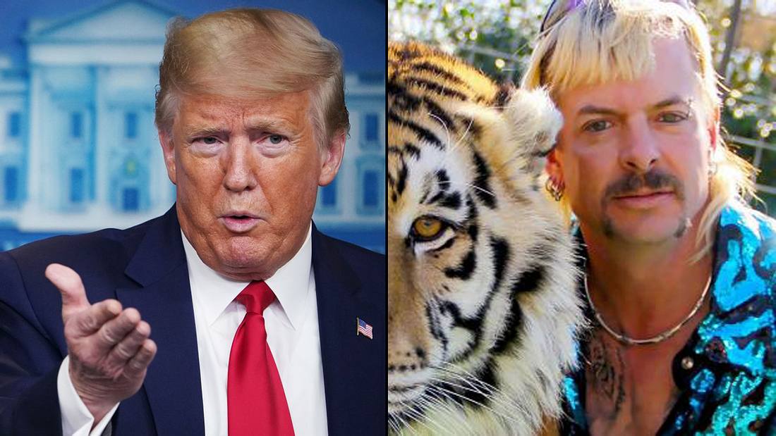 Donald Trump über Tiger King
