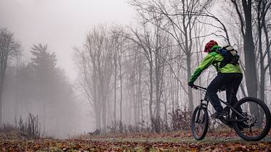 Fahrradfahrer im Wald - Foto: iStock/:blyjak