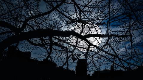 Dunkelheit in der Nacht - Foto: iStock / kdshutterman