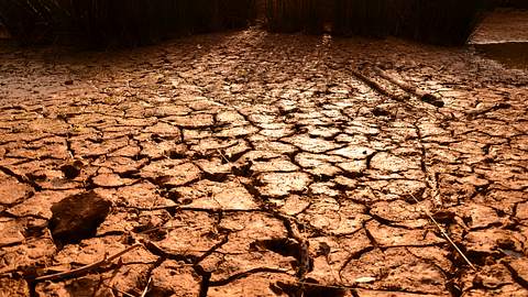 Dürren sind ein Phänomen von El Nino  - Foto: iStock / PeterWashington