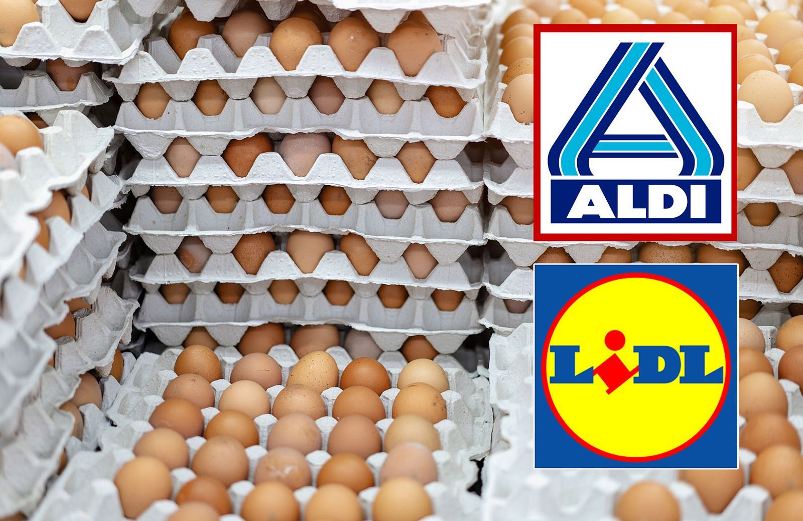 Was Kosten 10 Eier Bei Aldi