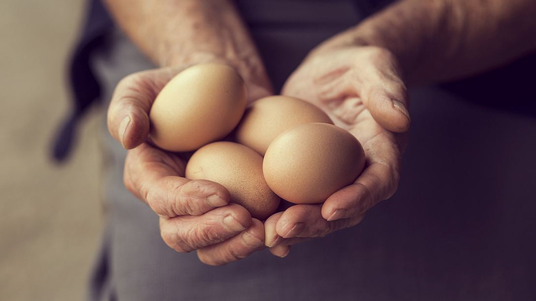 Wie lange sind frische Eier haltbar? - Foto: iStock / vladans