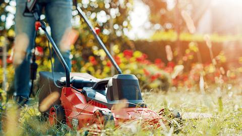 Ein Mann mäht den Rasen mit seinem Elektro-Rasenmäher - Foto: iStock/Ivanko_Brnjakovic