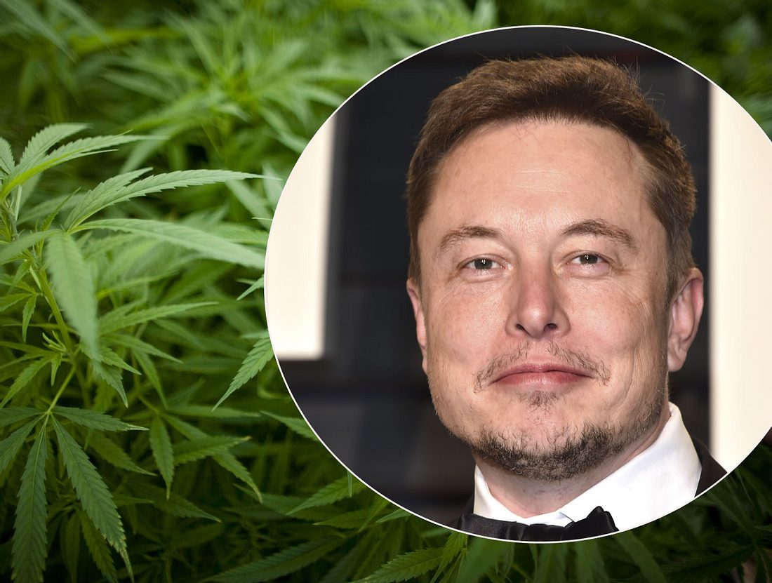 Elon Musk steigt in den Cannabistransport ein