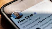 Elon Musks Twitter-Profil - Foto: Getty Images / Matt Cardy