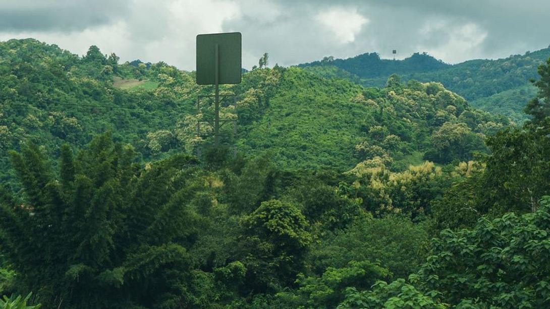 Emrod-Masten im Dschungel - Foto: Emrod
