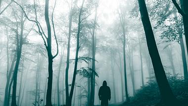 Mann im Wald - Foto: iStock/bonciutoma