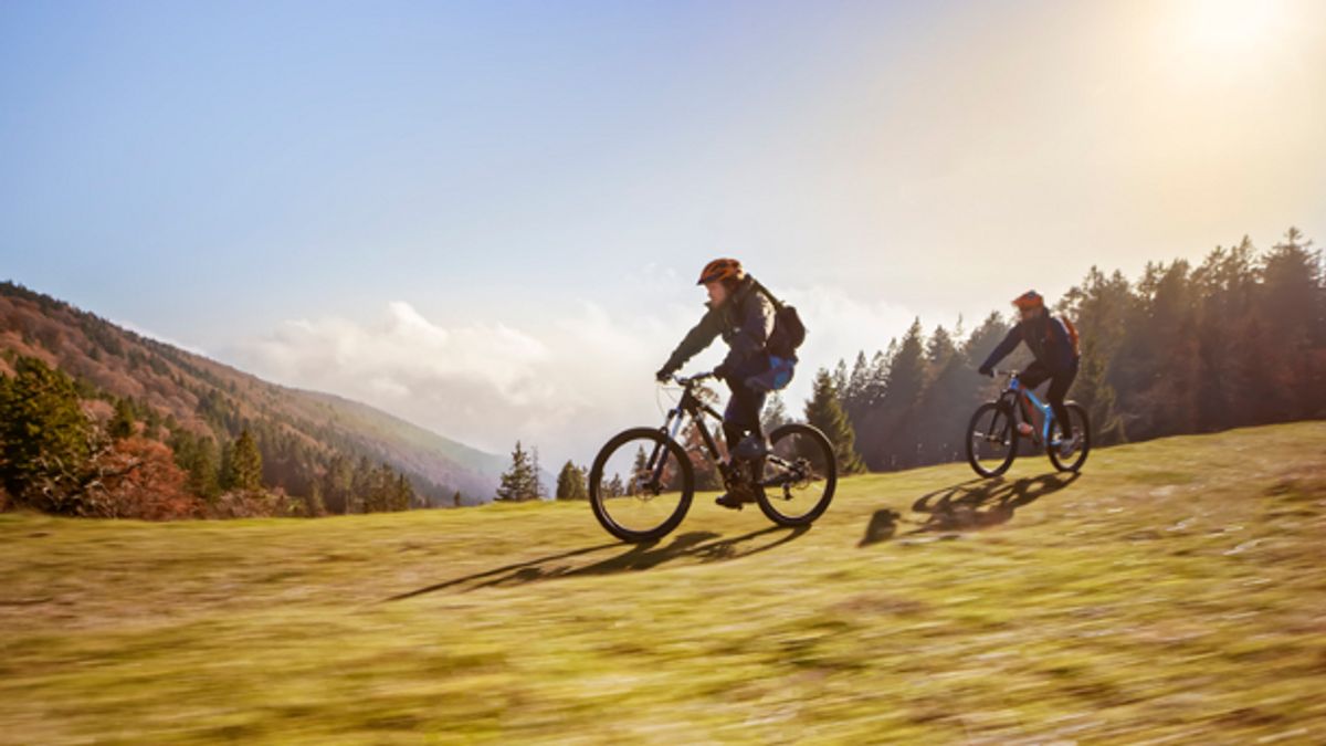 Fahrradjacke Herren Landschaft