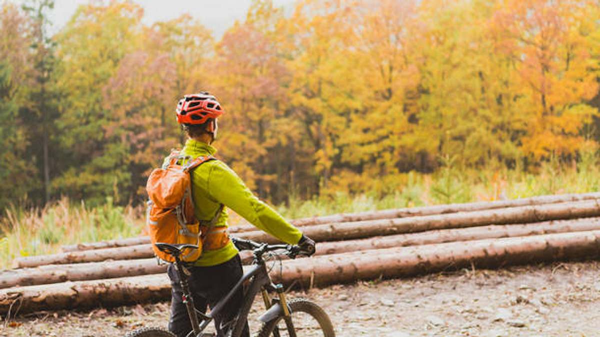 Fahrradjacke Herren Wald