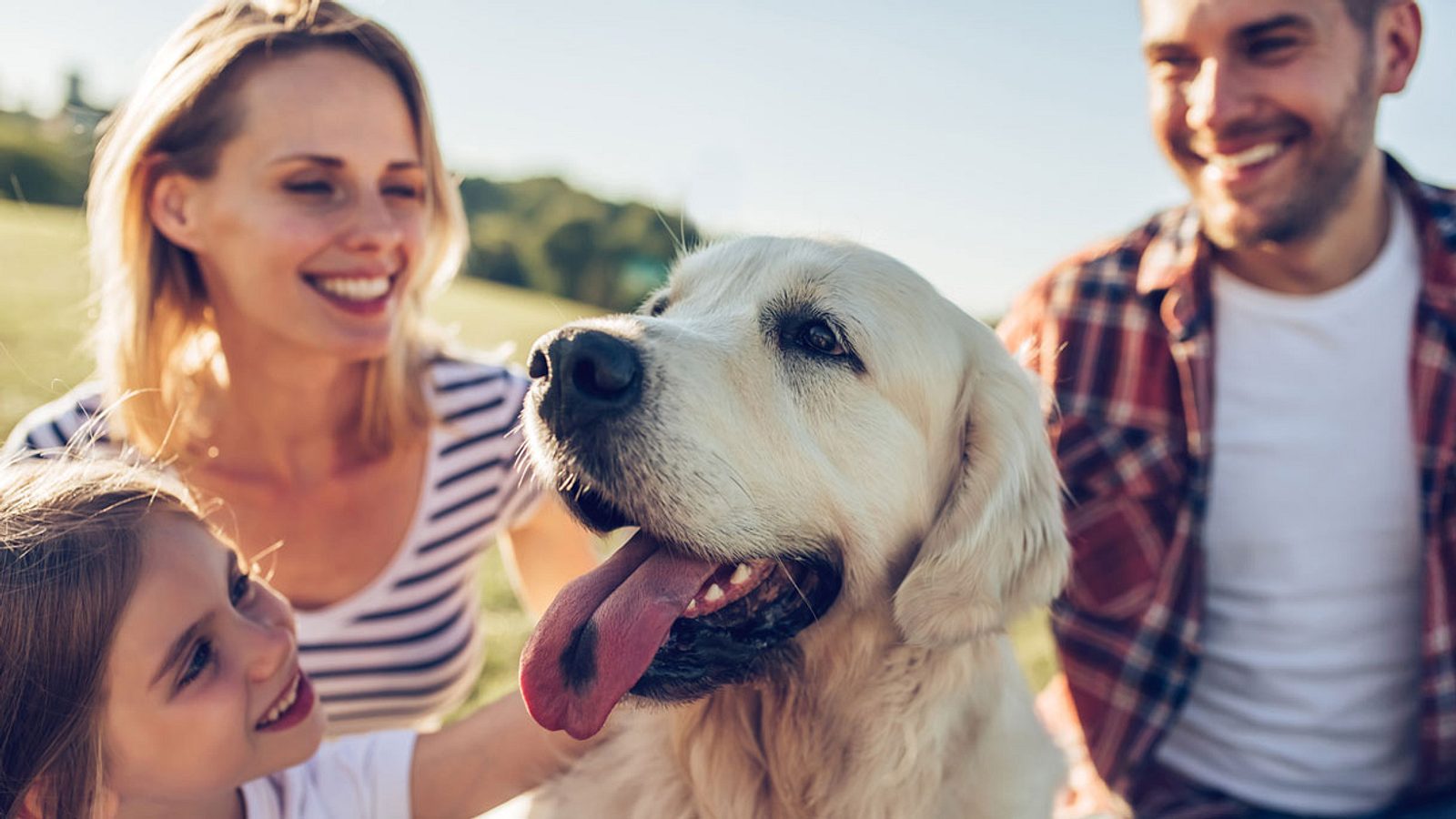 Urlaub mit Hund Die 10 besten Locations für tolle Ferien mit Hund