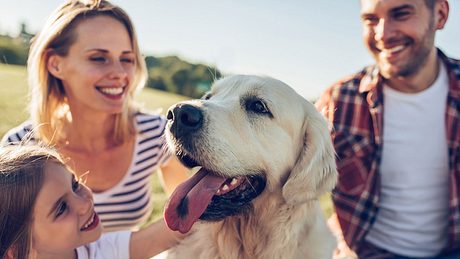 Familienurlaub mit Hund - Foto: iStock / Vasyl Dolmatov