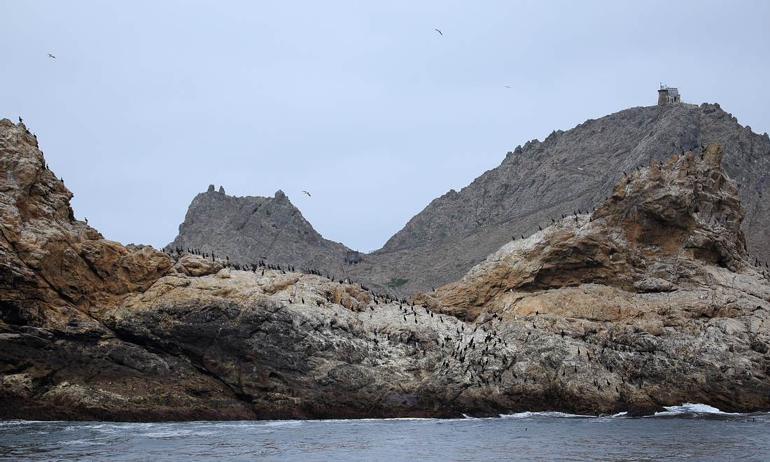 Farallon-Inseln Farallon-Inseln