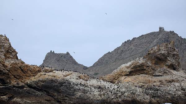 Farallon-Inseln - Foto: iStock / schmez