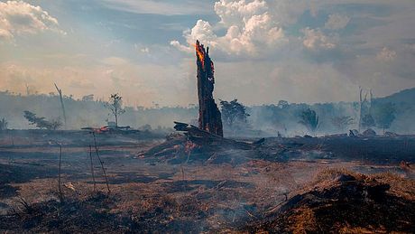 Der Regenwald im Amazonas brennt  - Foto: Getty Images/JOAO LAET 