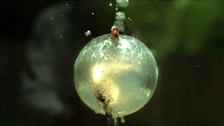 So sieht es aus, wenn ein Feuerwerk unter Wasser explodiert - Foto: YouTube/TheSlowMoGuys