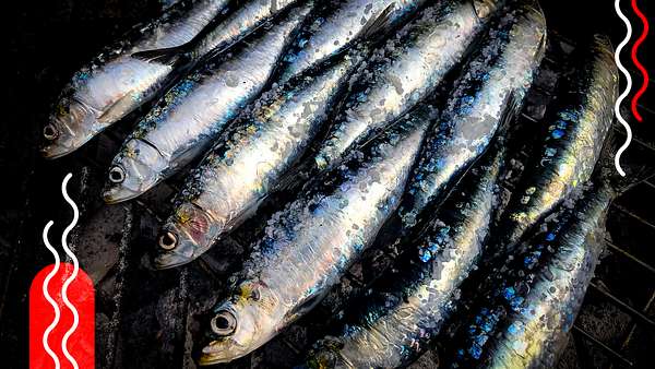 Gegrillte Fische - Foto: getty images/  Tim Bieber, Collage / bearbeitet durch Männersache