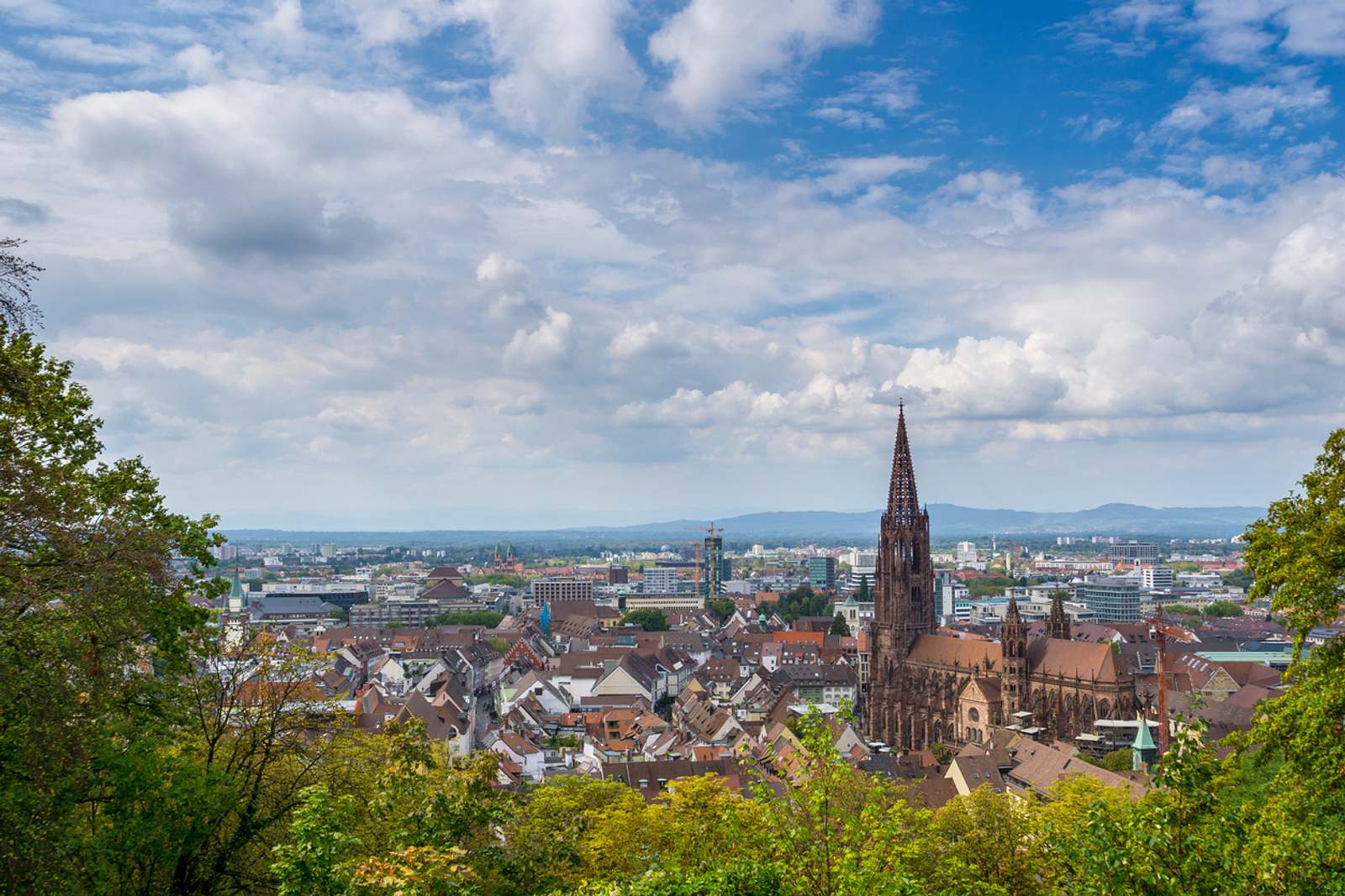 Diese 5 Sehenswürdigkeiten in Freiburg sind ein Muss  Männersache