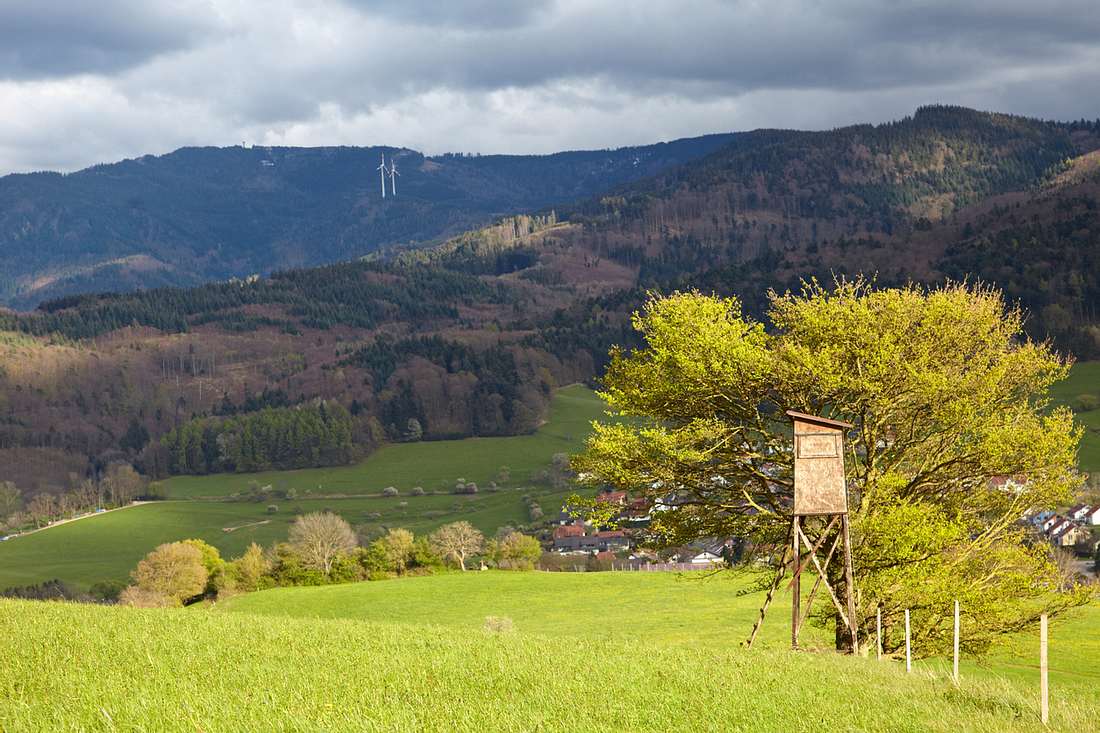 Der Schauinsland – ein Highlight für Wanderer