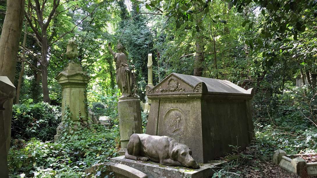 Friedhof - Foto: iStock / oversnap