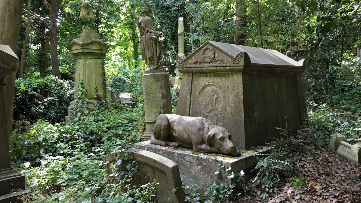 Friedhof Friedhof