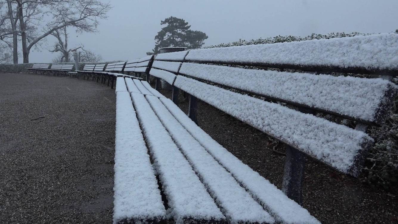 Mit Frost überzogene Parkbänke Mit Frost überzogene Parkbänke
