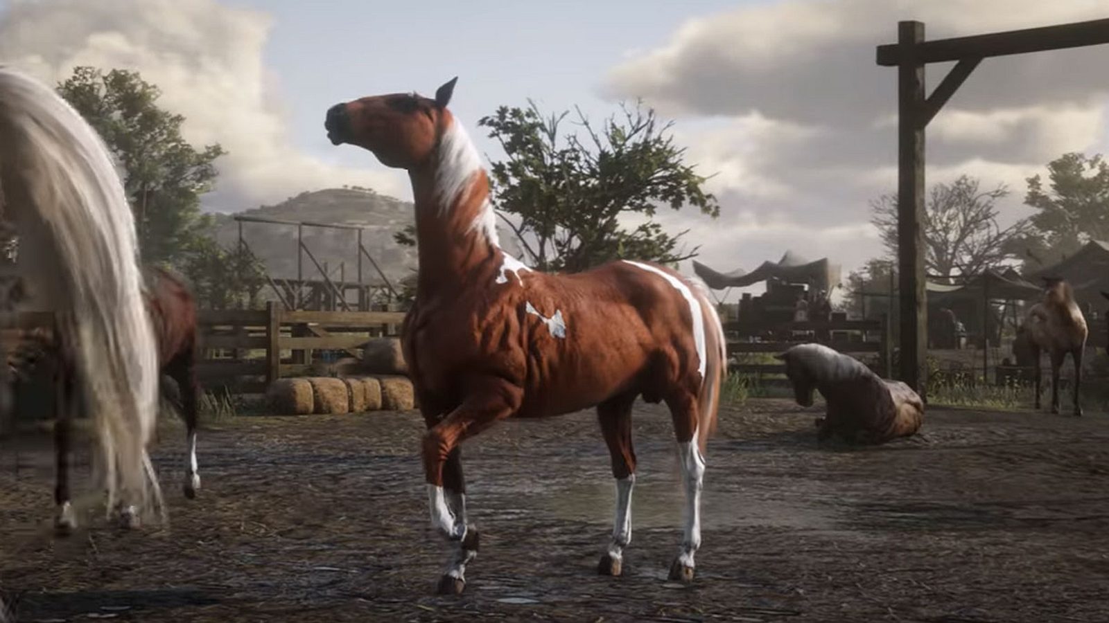 Red Dead Redemption 2 Pferde Züchten