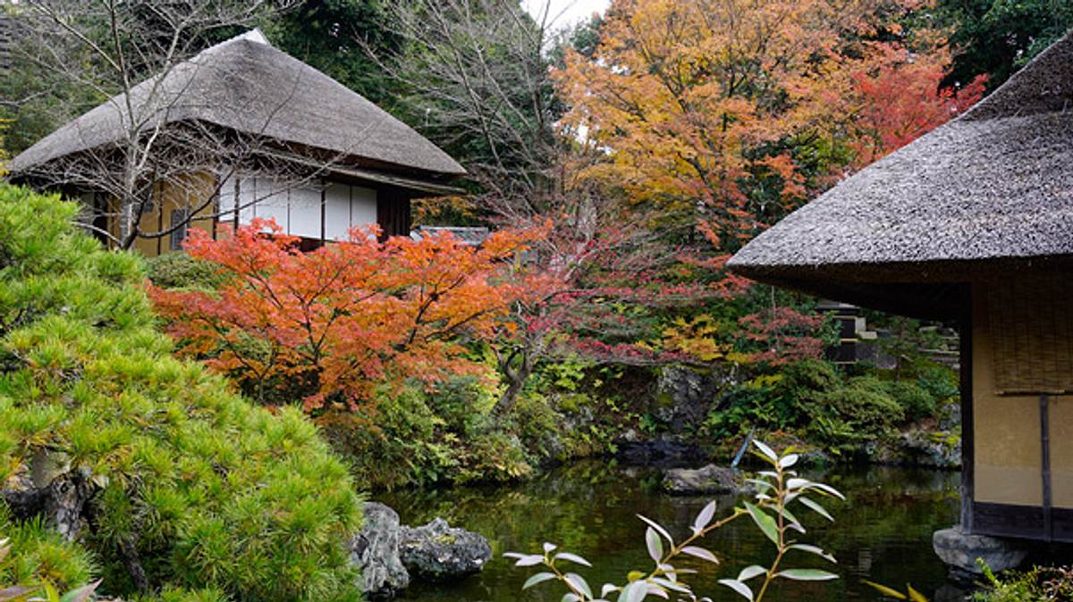 Der japanische Garten