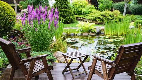 Gartenteich - Foto: iStock / Nadanka