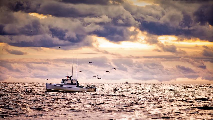 Fischerboot auf dem Meer - Foto: GettyImages / sarah beard buckley