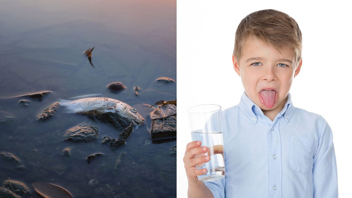 In vielen europäischen Städten ist das Wasser gesundheitsschädlich