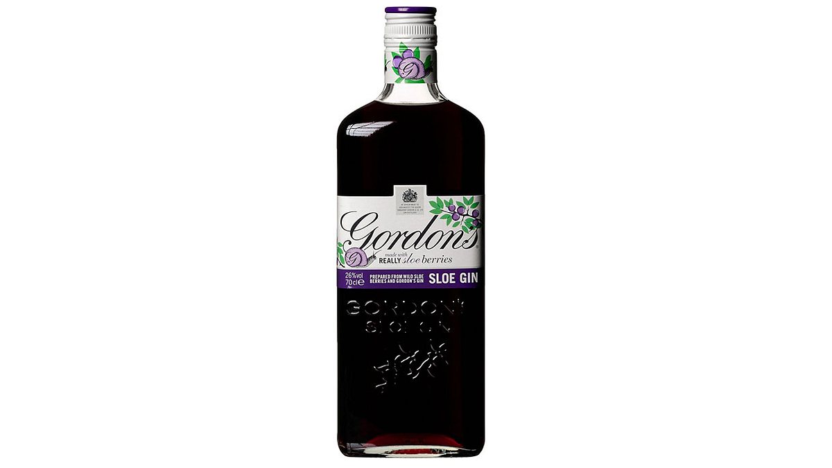 Gordon's Sloe Gin Likör 