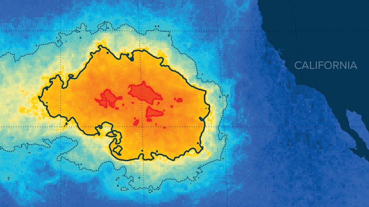 Die Ausmaße des Great Pacific Patchs sind unglaublich