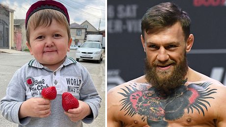 Hasbulla Magomedov vs. Conor McGregor - Foto: Getty Images / Ethan Miller / Instagram / hasbulla_17 (Collage Männersache)
