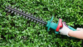 Mit der richtigen Heckenschere sieht dein Garten wieder super gepflegt aus - Foto: iStock/ricochet64