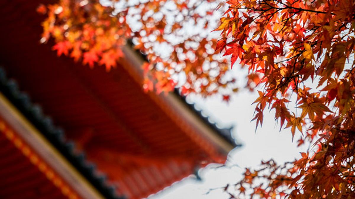 Herbst in Japan