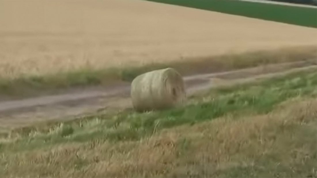 Mit diesem Heuballen solltest du dich besser nicht anlegen Mit diesem Heuballen solltest du dich besser nicht anlegen