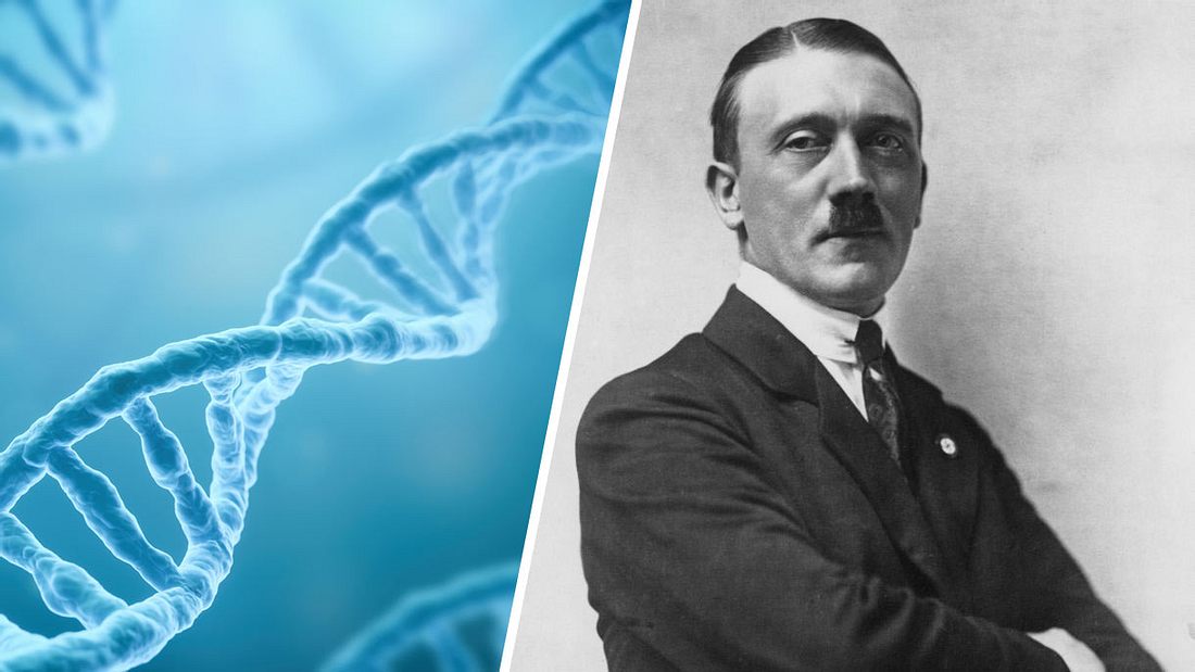 DNA von Hitlers Knochen