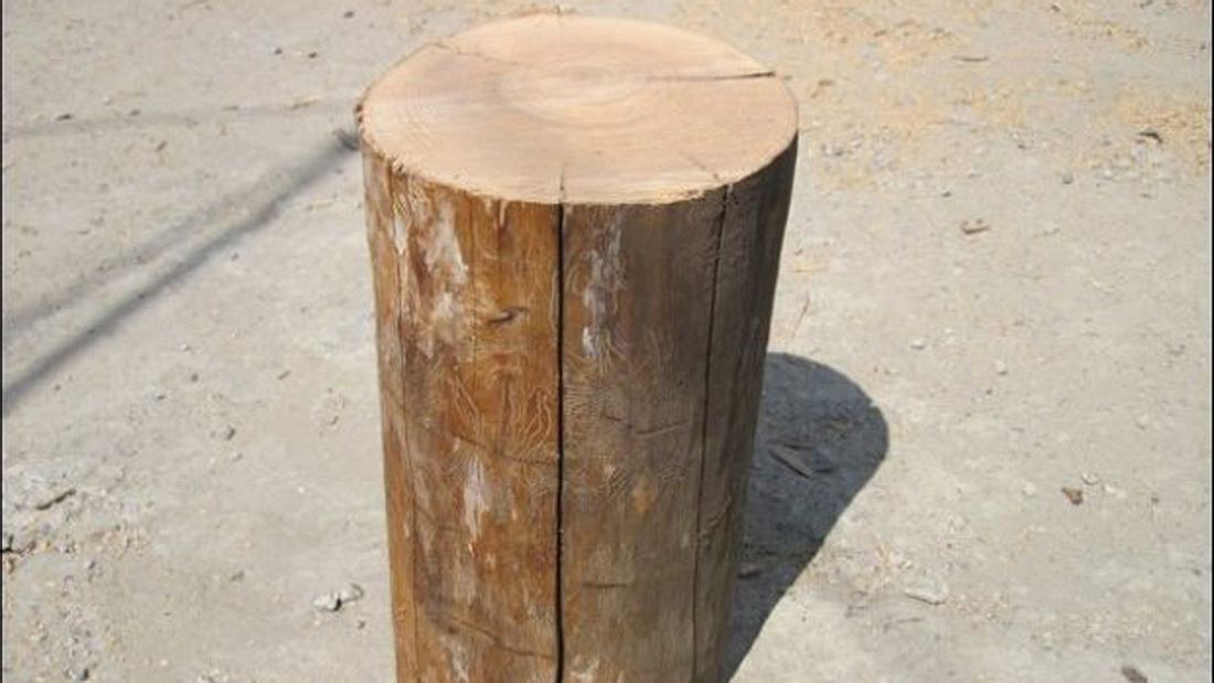 Outdoor-Hack: So baut man aus einem Holzscheit einen Herd