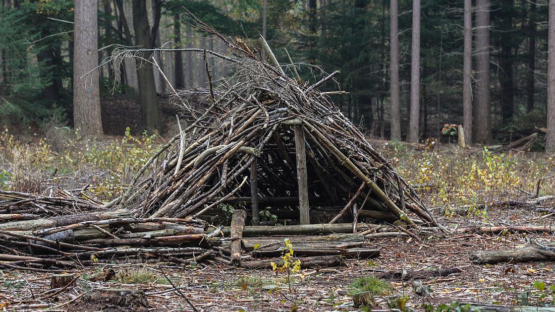 Hütte aus Ästen Hütte aus Ästen