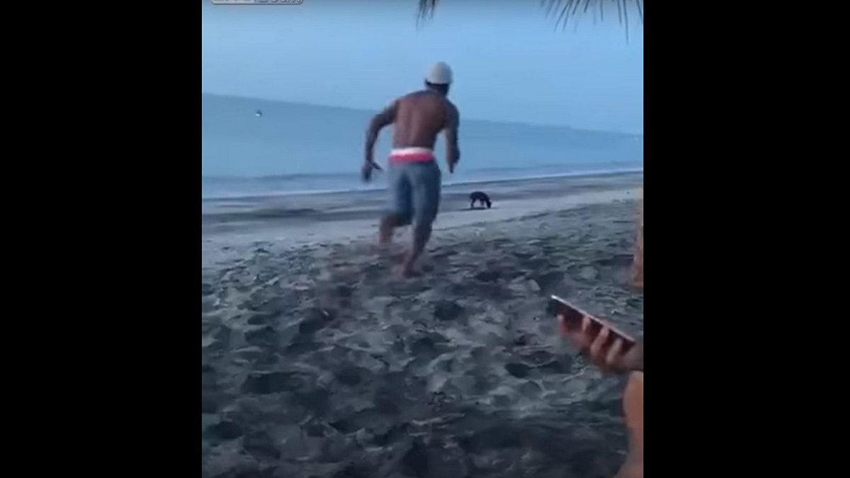 Karma: Ein Mann tritt einen Hund am Strand