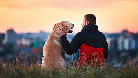 Neue Studie: Hundebesitzer leben länger - Foto: iStock / Chalabala