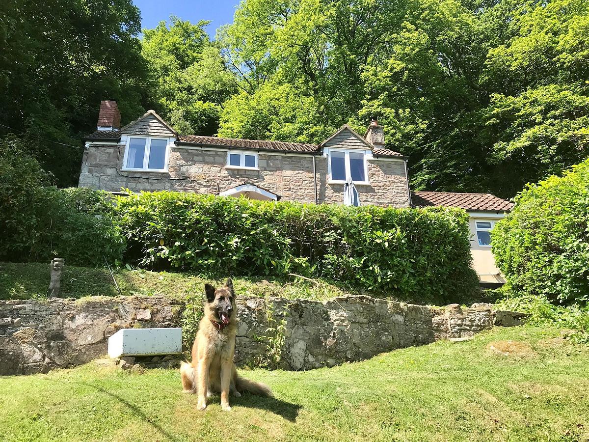 In diesem schönen Cottage mit großem Garten können Hunde ausgelassen toben