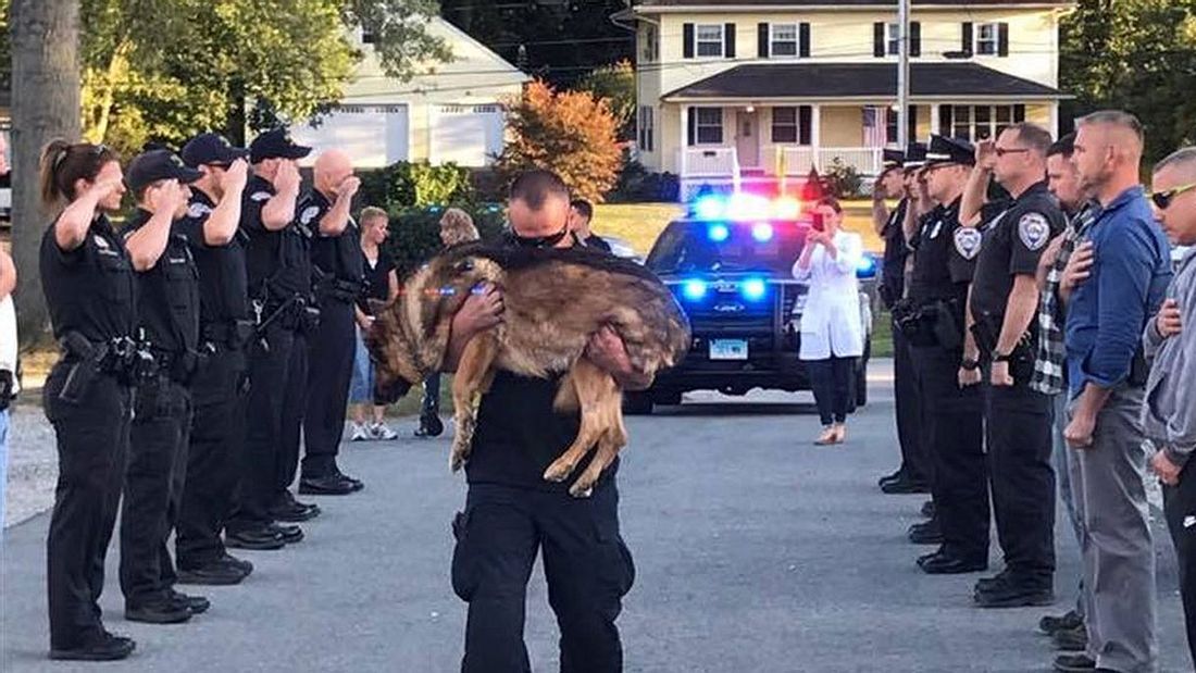 Emotionaler Abschied von Polizeihund Hunter