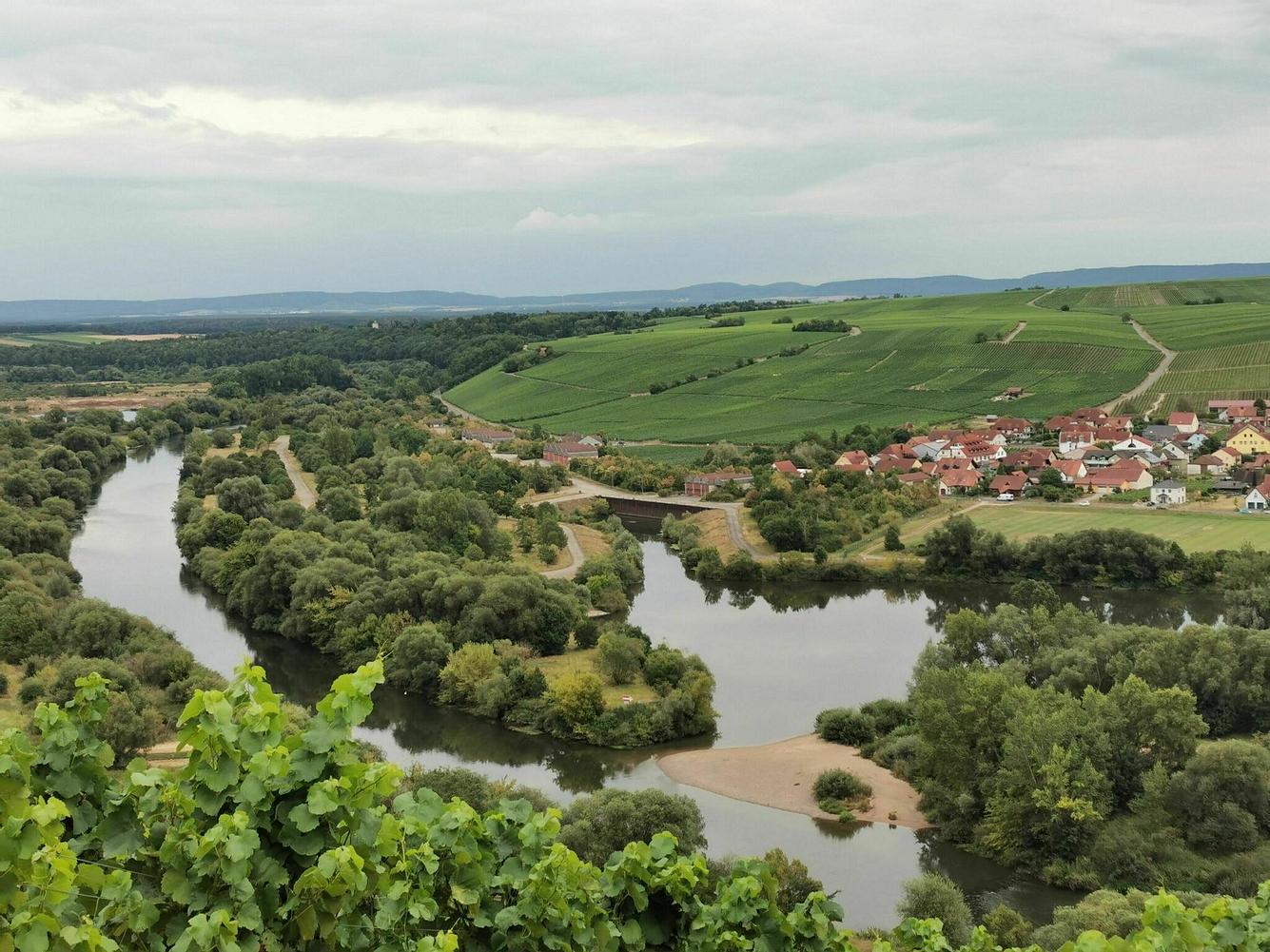 Dschungelpfad