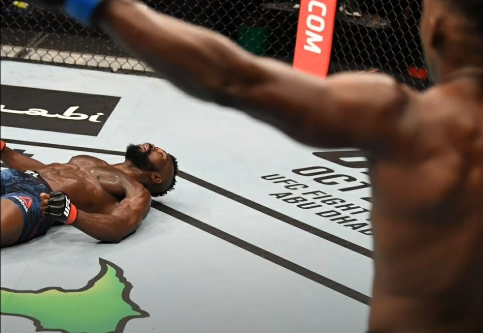 Bester Mma Kämpfer Aller Zeiten